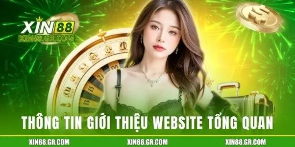 Thông tin giới thiệu Website tổng quan