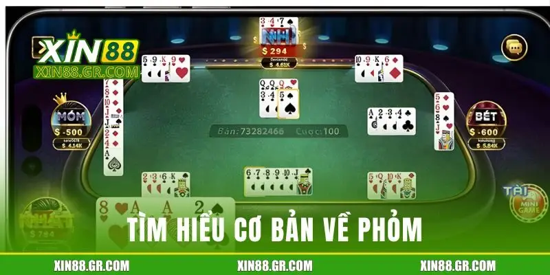 Tìm hiểu cơ bản về phỏm