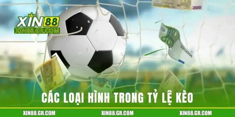 Các loại hình tỷ lệ kèo cơ bản nhất